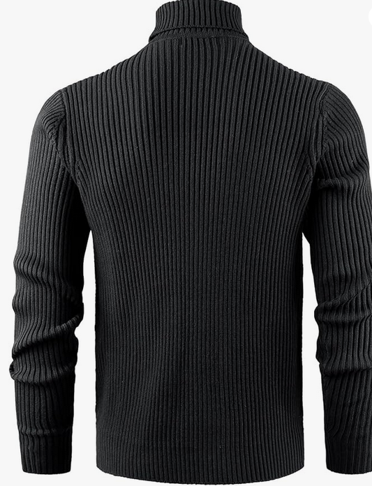 Pull à col roulé pour Homme