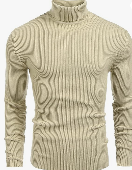 Pull à Col Roulé  en Maille Fine